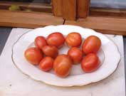 Foto von roten Tomaten ist zu sehen