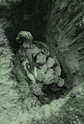Foto von einem Grab ist zu sehen