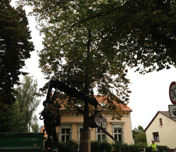 Foto von LKW ist zu sehen, der eine alte Betonleuchte gegen den Lindenbaumstammm prallen lässt.