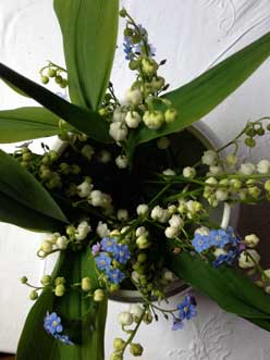 Foto von einem Strauß von Maiglöckchen in einer Vase - heute fotografiert. title=