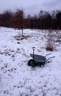Foto von Feld mit Schnee ist zu sehen - heute.