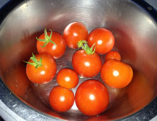 Foto von Tomaten  - heute.