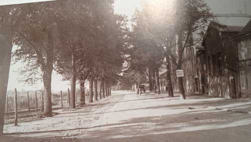 historisches Foto von der Uferstraße mit große Bäumen.