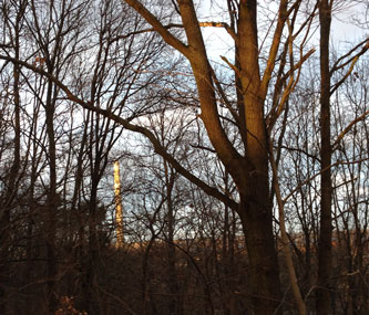Foto von Wald mit Schornstein ist zu sehen - von heute.