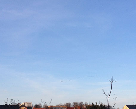 Foto von Himmel und Zugvögeln ist zu sehen - heute.